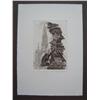Image 2 : KARL BLOSSFELD Sig Etching German 1972