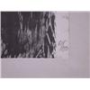 Image 4 : MOSHE GAT Signed Litho Israeli