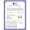 Image 2 : Genuine 26.15 ctw Amethyst & Diamond Earrings 14KT Yellow Gold - REF-61T6A