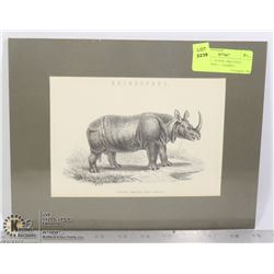 ANIMALS - 10 FINE 1884 STEEL ENGRAVINGS + 1 SAMPLE