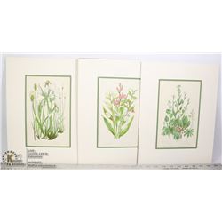 3 ANNE PRATT BOTANICAL LITHOGRAPHS FROM 1890,