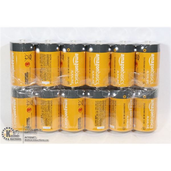 BUNDLE OF D BATTERIES