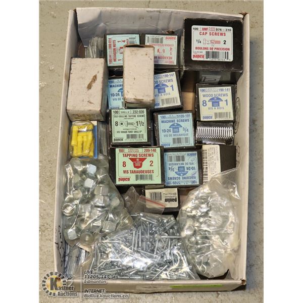 TRAY OF ASSORTED HARDWARE - NUT, BOLTS AND SCREWS