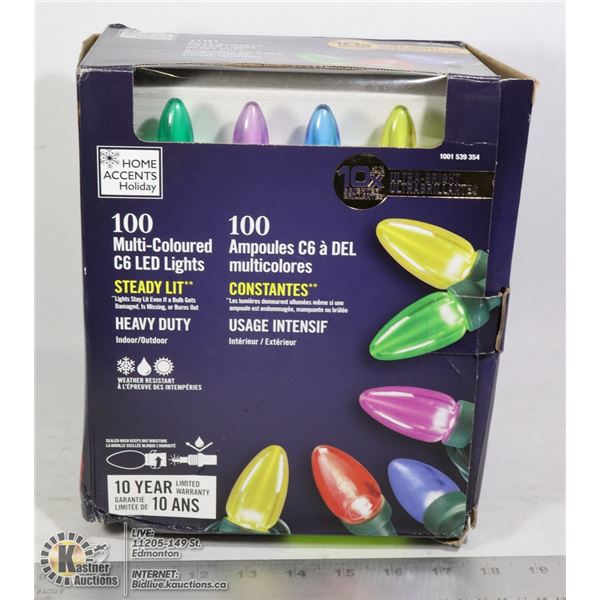 100 LIGHT LED CHRISTMAS LIGHT SET