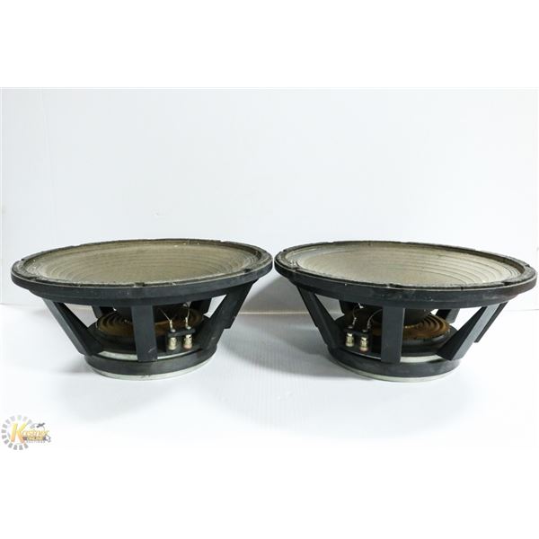 2 X 15 INCH SPEAKERS