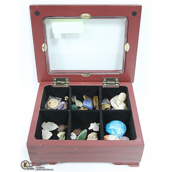 WOOD DISPLAY BOX WITH COLLECTION OF