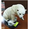 Image 1 : LARGE ADELINE COLLECTION POLAR BEAR