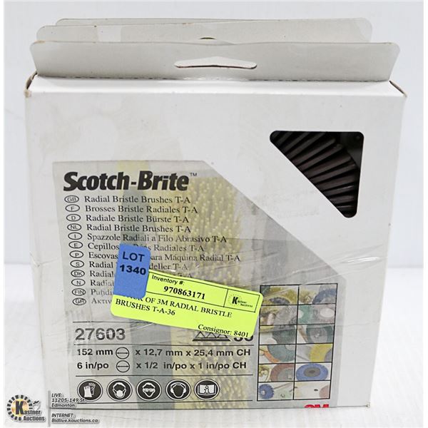 4 PACK OF 3M RADIAL BRISTLE BRUSHES T-A-36
