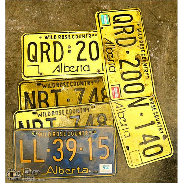 LOT OF 6 VINTAGE ALBERTA LICENSE PLATES