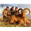 Image 1 : 3.5 Days Trophy Aoudad Hunt - Free Range