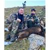 Image 1 : 3-Day Trophy Pyrenean Chamois Hunt in Spain Including 1-Day of Driven Hunting (SCI Silver Medal Cham