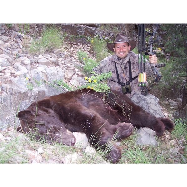 3-Day Black Bear Hunt with Dogs in New Mexico for 1 Hunter and 1 Non-Hunter