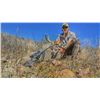 Image 1 : 5-Day Coues Deer Hunt in Mexico for 1 Hunter Only
