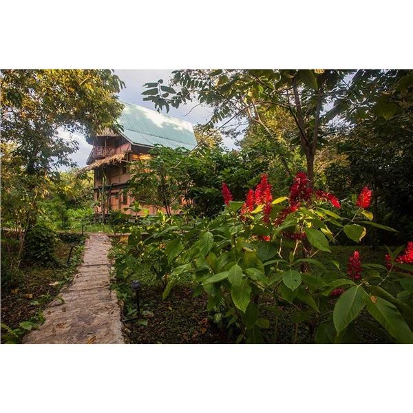 8-Day/7-Night Belize Jungle Adventure for 2 Guests @ Cotton Tree Lodge