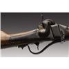 Image 3 : A Sharps Carbine, Private William A. Keyes, 'Mos 