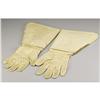 Image 2 : Major General Philip Sheridan's Gauntlets, Given