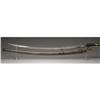 Image 1 : The Sword of Confederate General Albert Sidney J