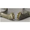 Image 3 : Confederate Spurs Captured at Yorktown