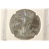 Image 1 : 2013 AMERICAN SILVER EAGLE NGC MS70 EARLY RELEASES