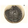 Image 1 : 268-270 A.D. CLAUDIUS II ANCIENT COIN (FINE)