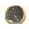 Image 2 : 268-270 A.D. CLAUDIUS II ANCIENT COIN (FINE)