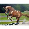 Image 1 : STUNNING ORIGINAL OIL PAINTING OF HORSE #1593941