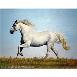 SUPERB ORIGINAL OIL PAINTING OFWHITE  HORSE #1593944