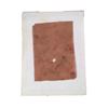 Image 1 : Resident Evil: The Final Chapter Dr. Isaacs (Iain Glen) SFX Skin Graft Movie Props