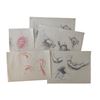Image 1 : Tulip Fever Jan Van Loos (Dane DeHaan) Orginal Sketches of Sophia (Alicia Vikander) Movie Props