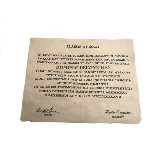 Delvecchio TV Certificate Prop