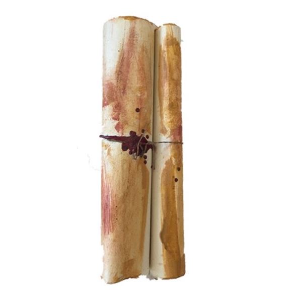 Underworld: Rise of the Lycans Great Hall Scroll Movie Props