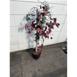 Artificial Plant