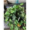 Image 1 : Artificial Plant