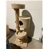 Image 1 : Cat scratch