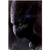 Image 1 : Vin Diesel Autograph Signed Avengers Groot Poster