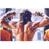 Image 1 : Rambo Sylvester Stallone Signed Photo
