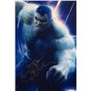 Image 1 : Avengers Infinity War Mark Ruffalo Signed Photo