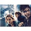 Image 1 : Harry Potter Signed Photo