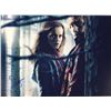 Image 1 : Harry Potter Signed Photo