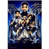Image 1 : Chadwick Boseman Autograph Signed Black Panther Photo