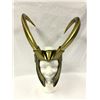 Image 1 : Signed Thor Loki Helmet Tom Hiddleston