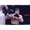 Image 1 : Sylvester Stallone Autograph Signed Rocky Photo