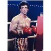 Image 1 : Sylvester Stallone Autograph Signed Rocky Photo