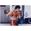 Image 1 : Sylvester Stallone Autograph Signed Rocky Photo