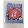 Image 2 : NHL micro jersey series 1 Iginla