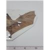 Image 2 : Real 9 inch bat  (Taxidermy)
