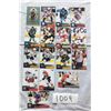 Image 1 : 15 Upper Deck Hocky Cards -From 2009