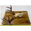 Image 1 : Hand-Crafted Deer Mount Décor - 23.5x154
