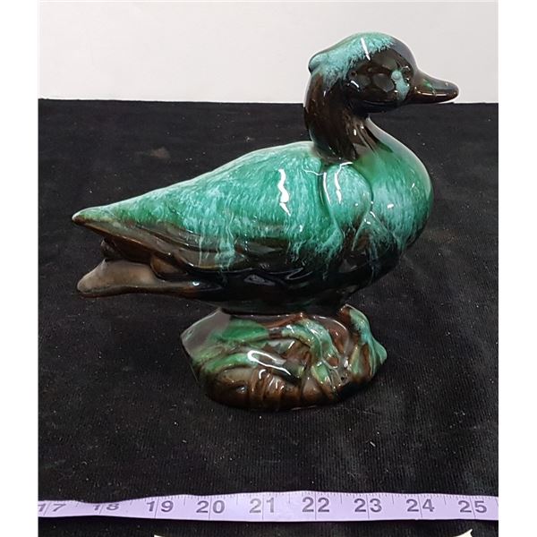 Blue Mountain Duck