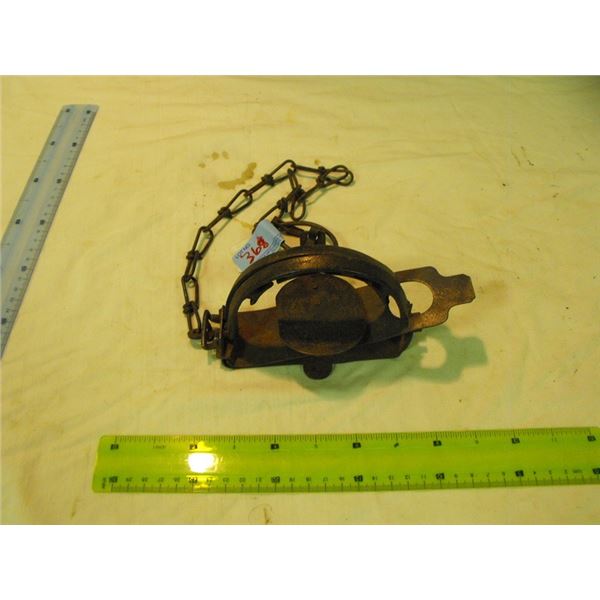 Triumph triple clutch #2 Xtrap